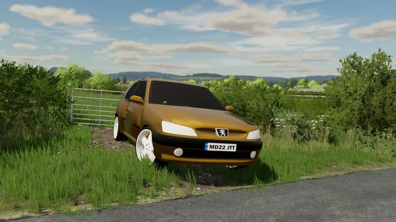 PEUGEOT 306 4