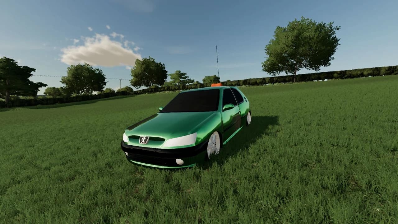 PEUGEOT 306