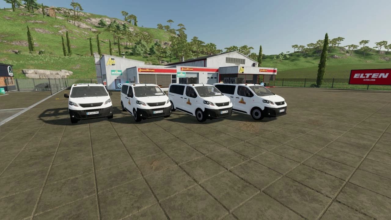 PEUGEOT EXPERT PINDER 3