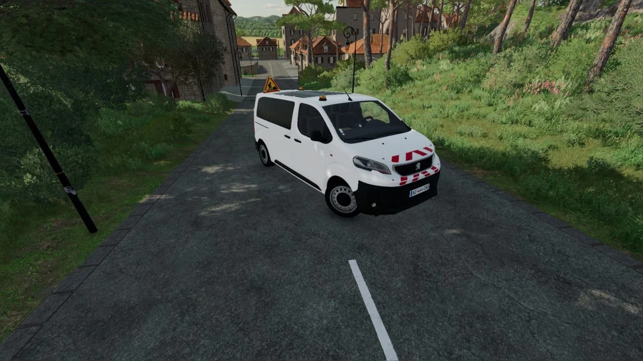 PEUGEOT EXPERT TP 4