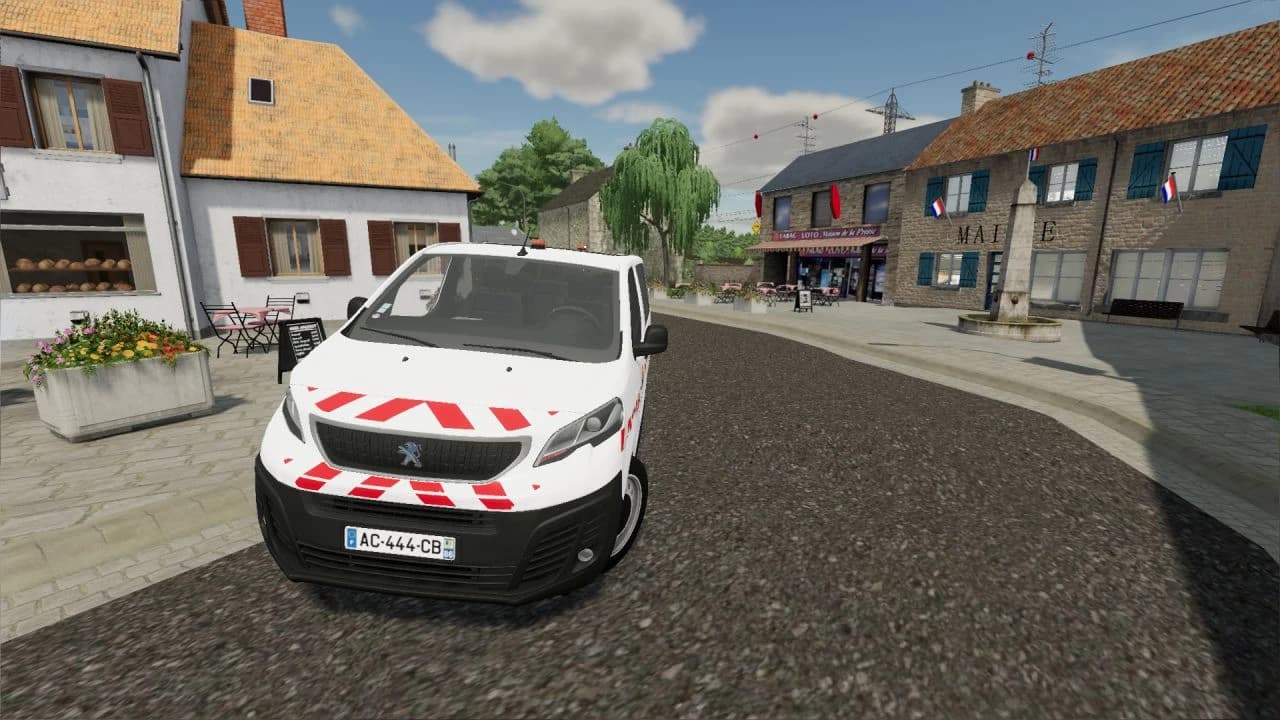 PEUGEOT EXPERT (LUCAS TP) 4