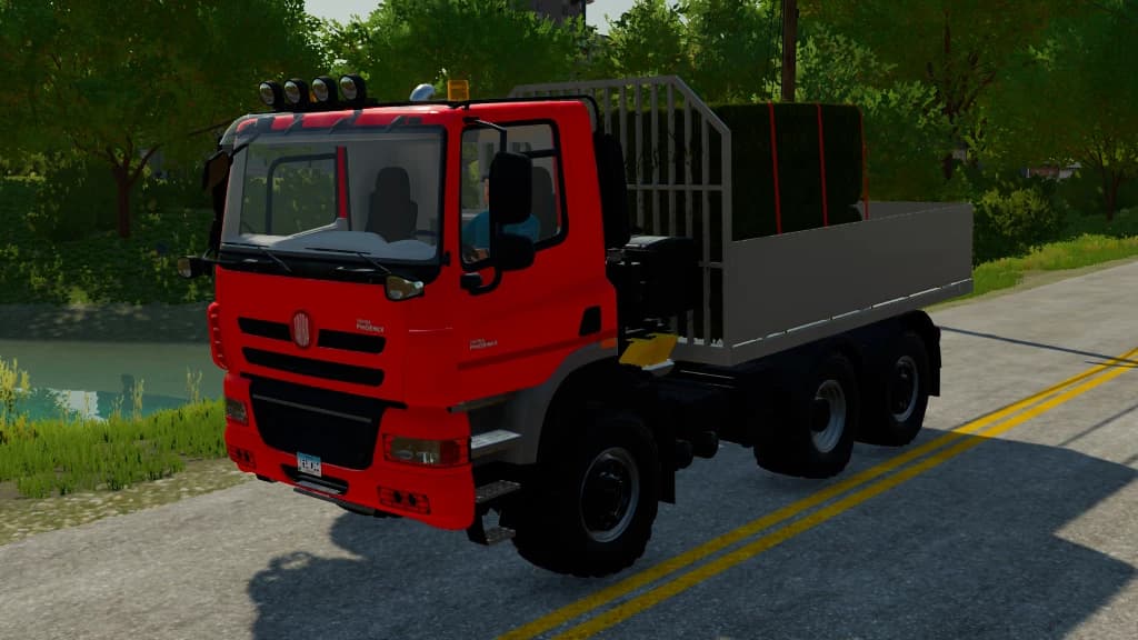 PHOENIX FLATBED/SALT TRUCK 3