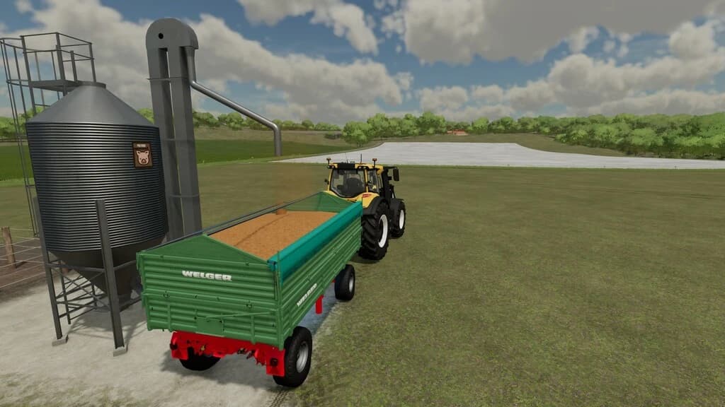 PIG FEED BUYING STATION