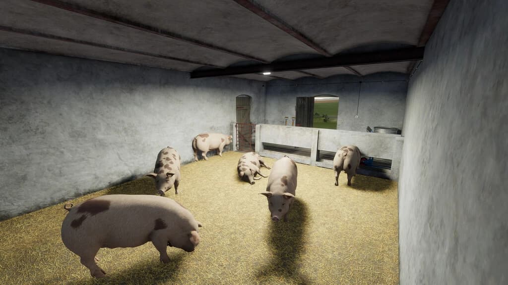 PIGSTY WITH GARAGE 4