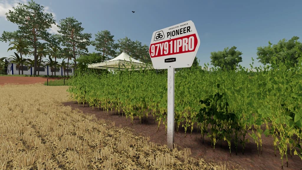 PIONEER CROP PLATES - BRAZIL 4