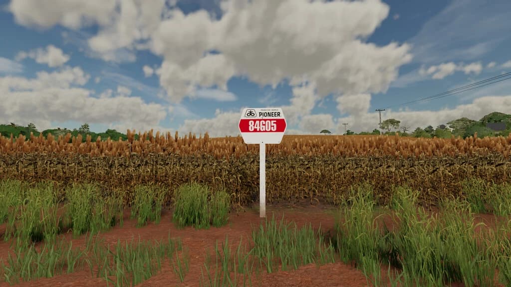 PIONEER CROP PLATES - BRAZIL 2