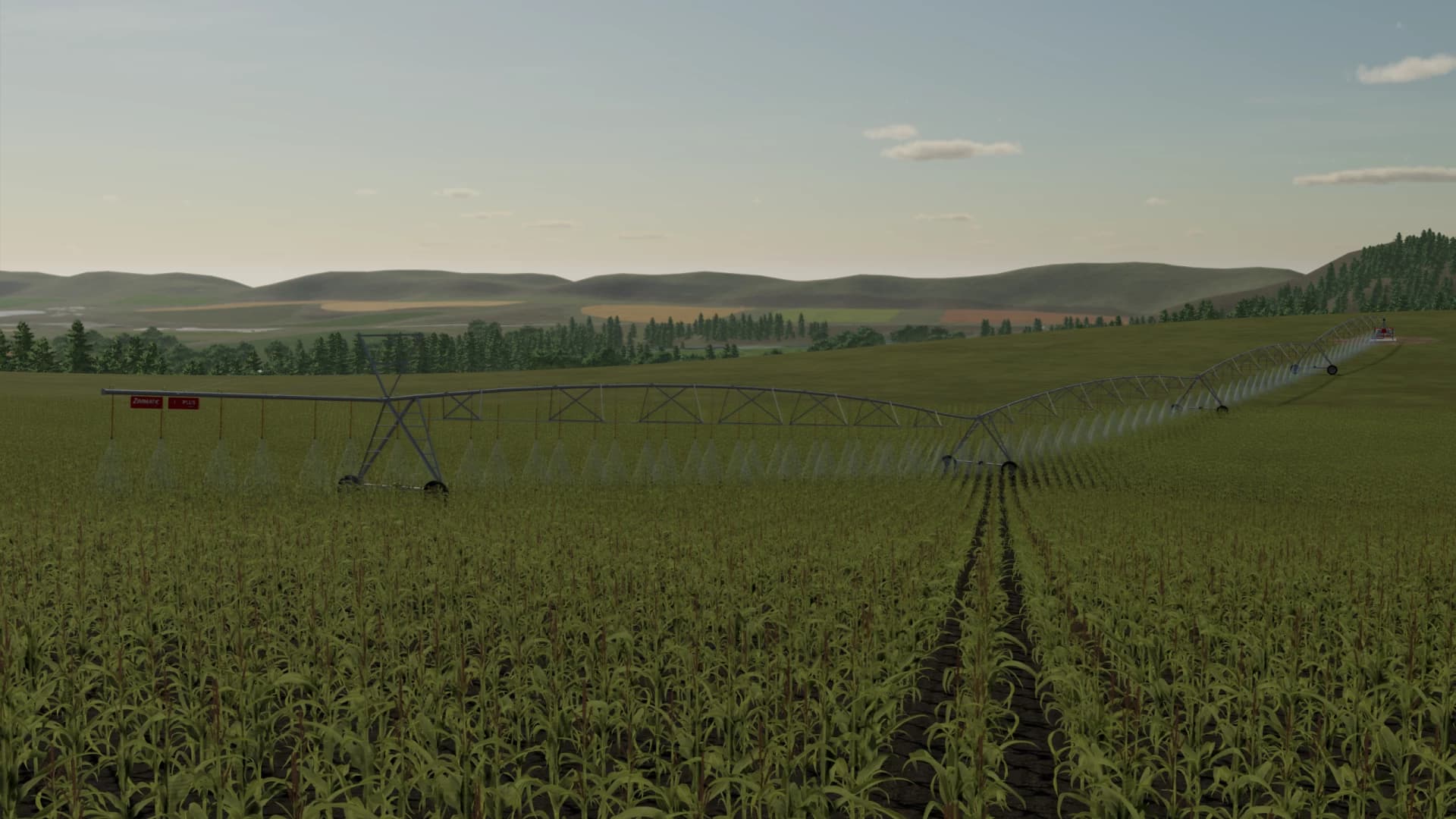 PIVOTS LINDSAY 5