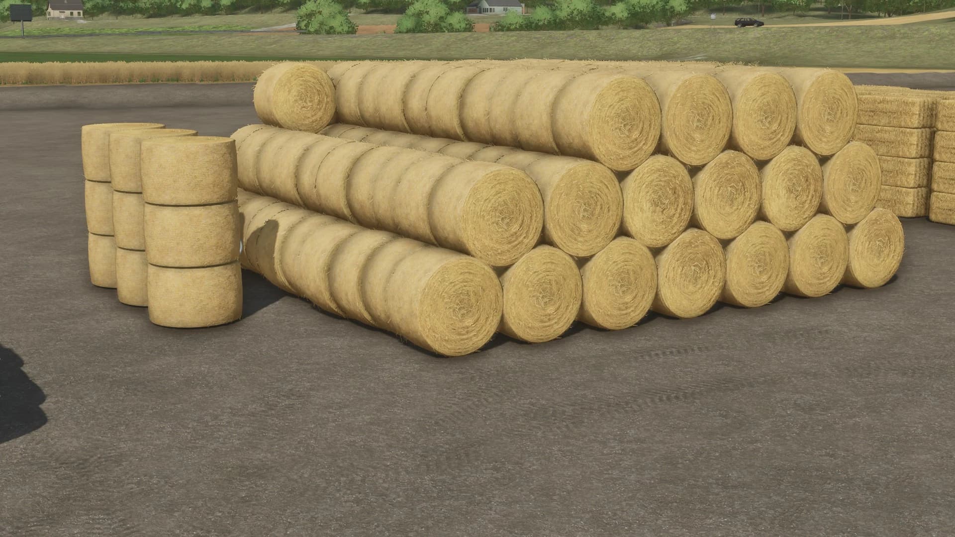 PLACEABLE BALE STORAGE 5