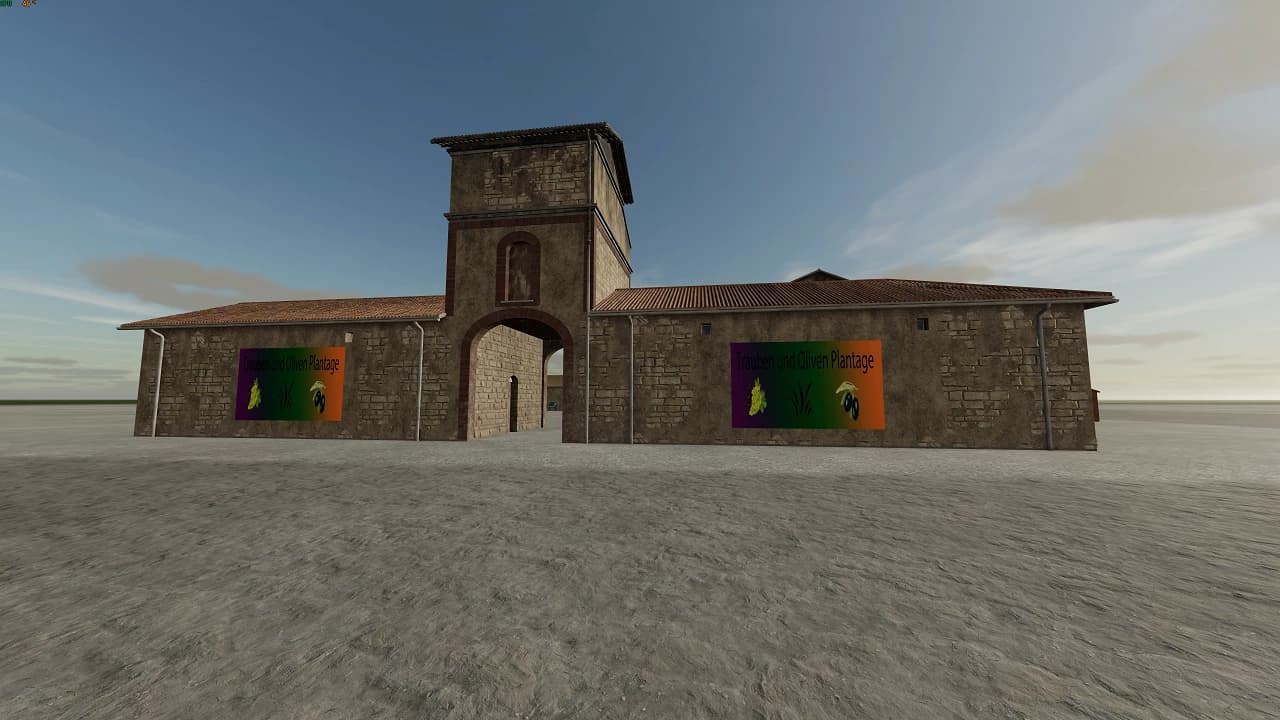 PLANTATION FOR GRAPE & OLIVE 5