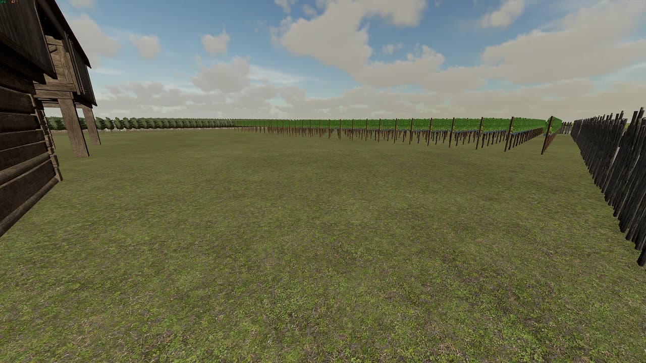 PLANTATION FOR GRAPE & OLIVE 2