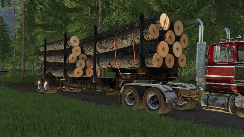 LIZARD PLANTATION TRAILER 3