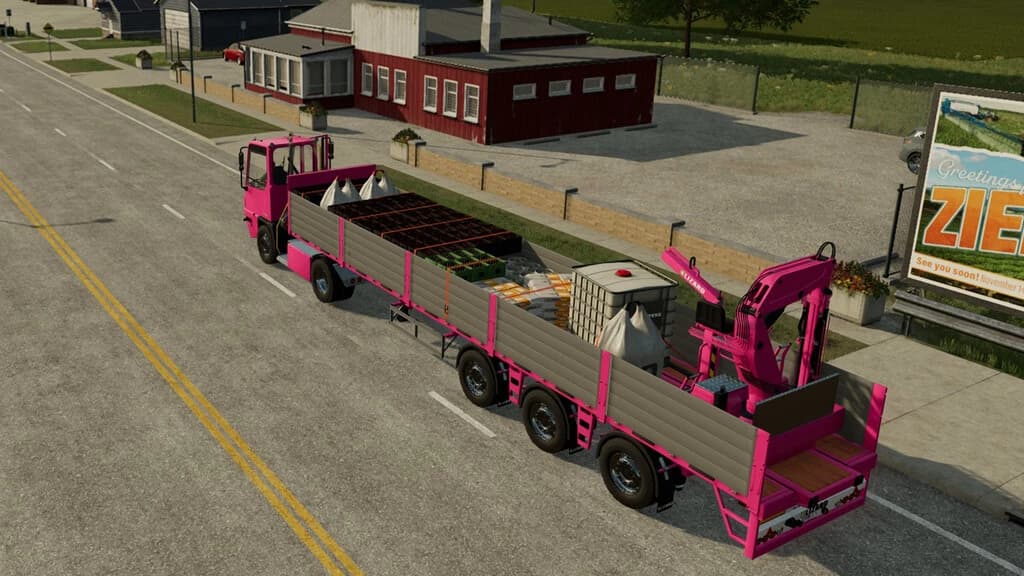 PLATFORM TRAILER WITH CRANE 3