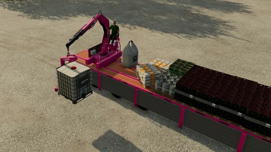 PLATFORM TRAILER WITH CRANE 2