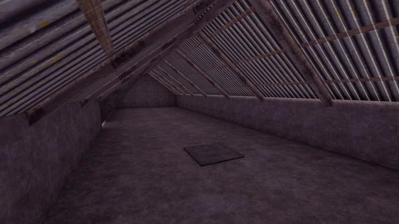POLISH BUILDING WITH COWS 4
