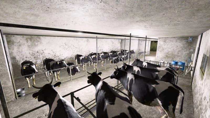 POLISH COWSBARN