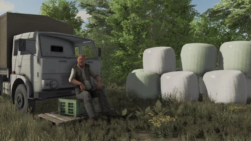 POLSKA WIEŚ POPRAWKA 3