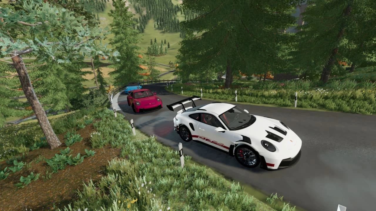 PORSCHE GT3 5