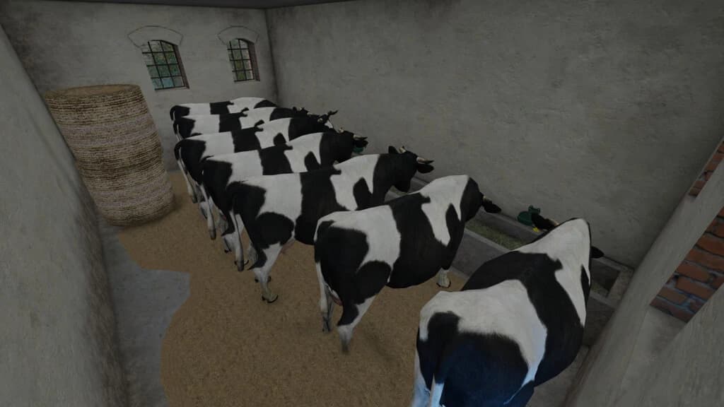 POST-GERMAN COWSHED 2