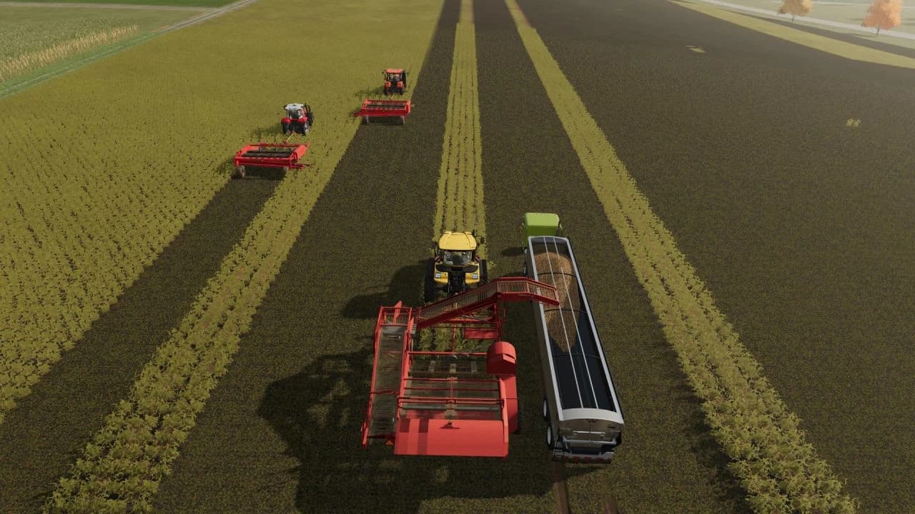 POTATO HARVESTERS 5
