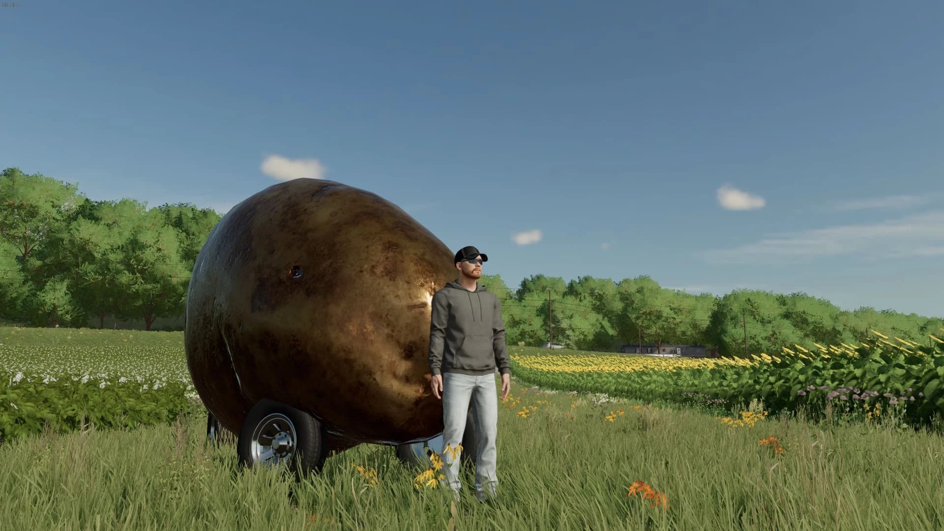 POTATO 4