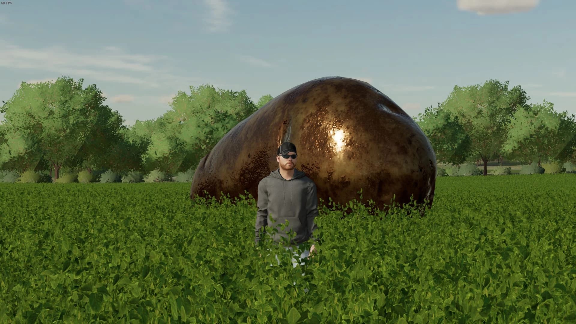 POTATO 3