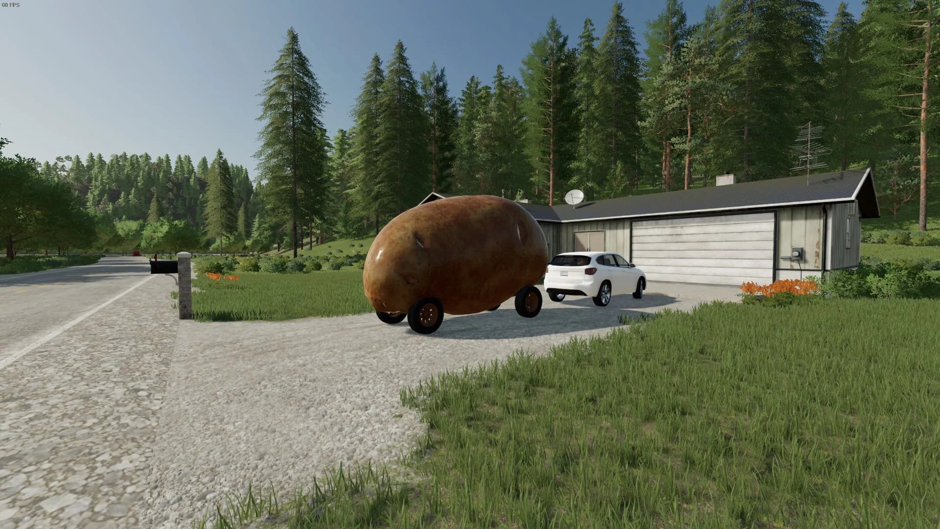 POTATO 2