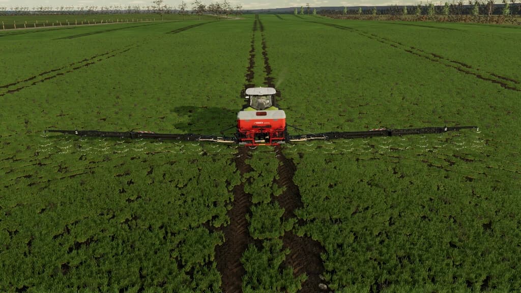 PROSEED 4