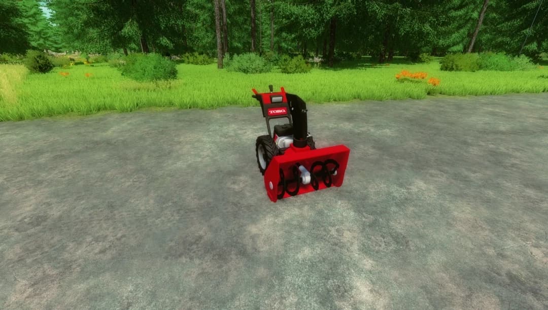 PUSH SNOW BLOWER