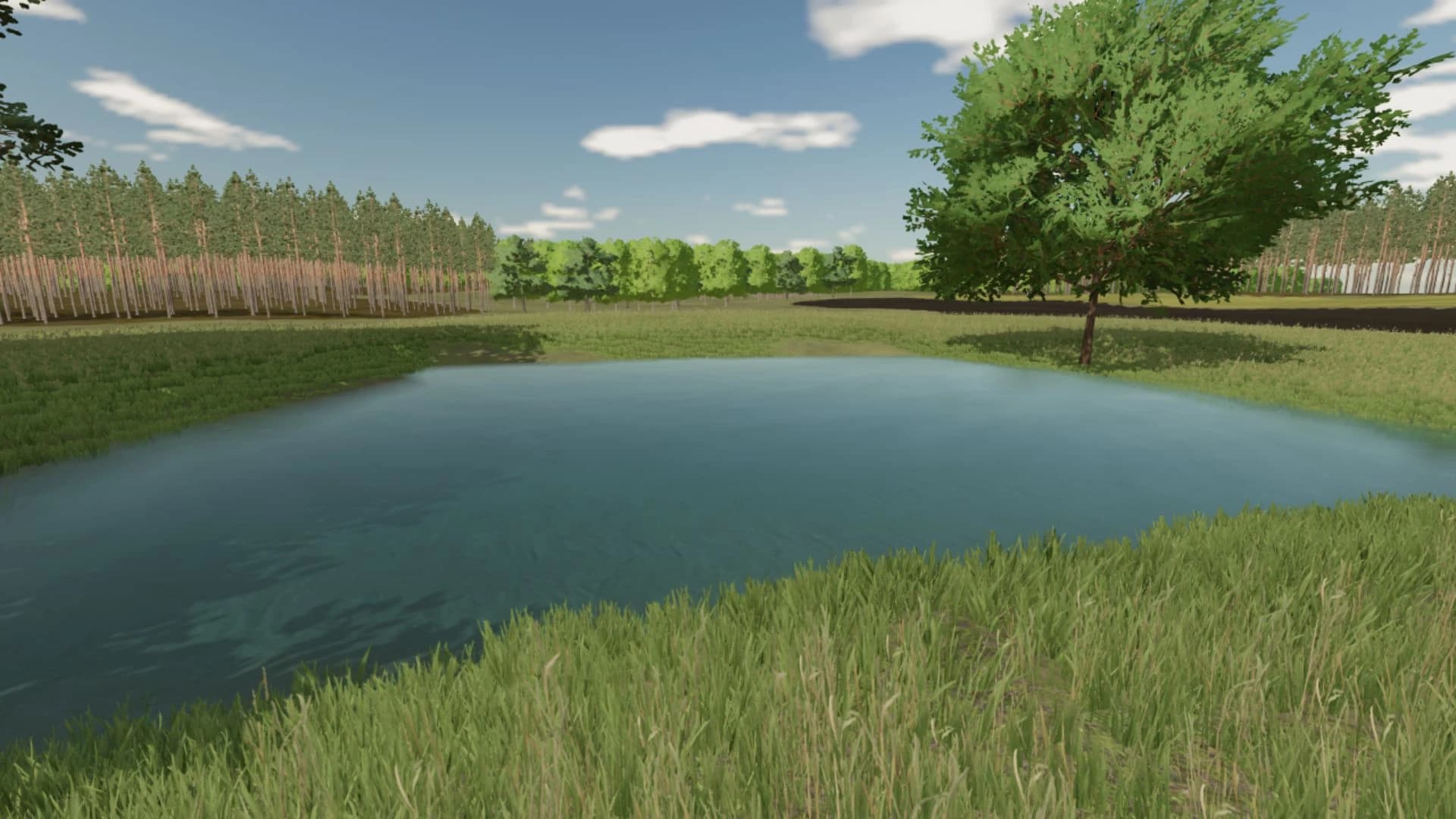 Piony Map 4