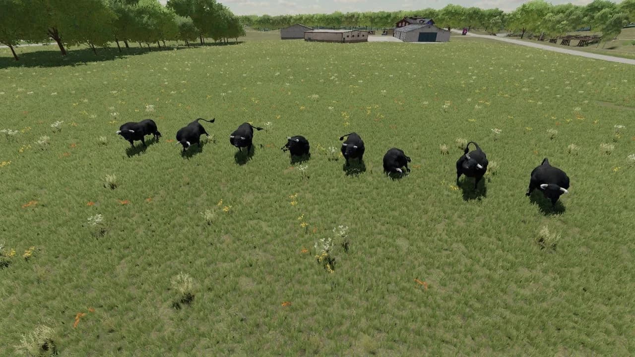 Placeable Bulls 5