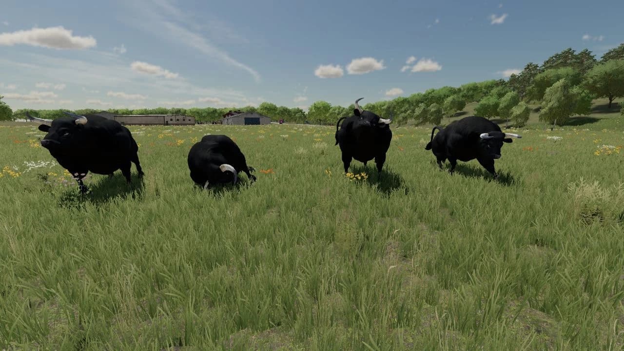 Placeable Bulls 3