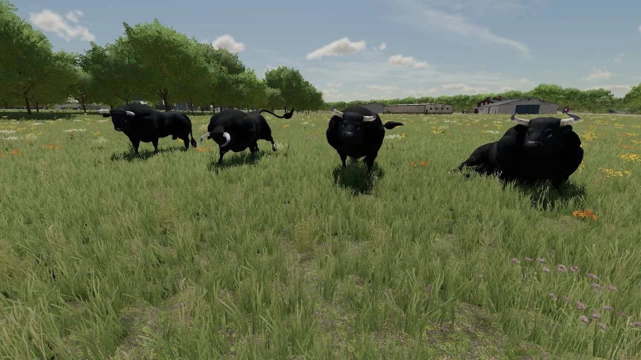 Placeable Bulls 2