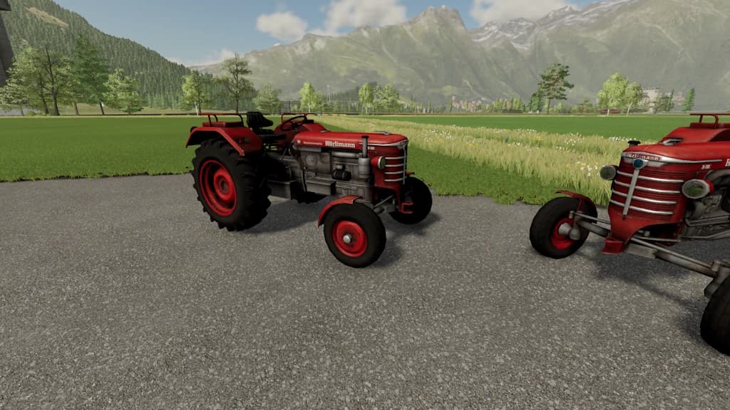 Placeable Huerlimann D110 2