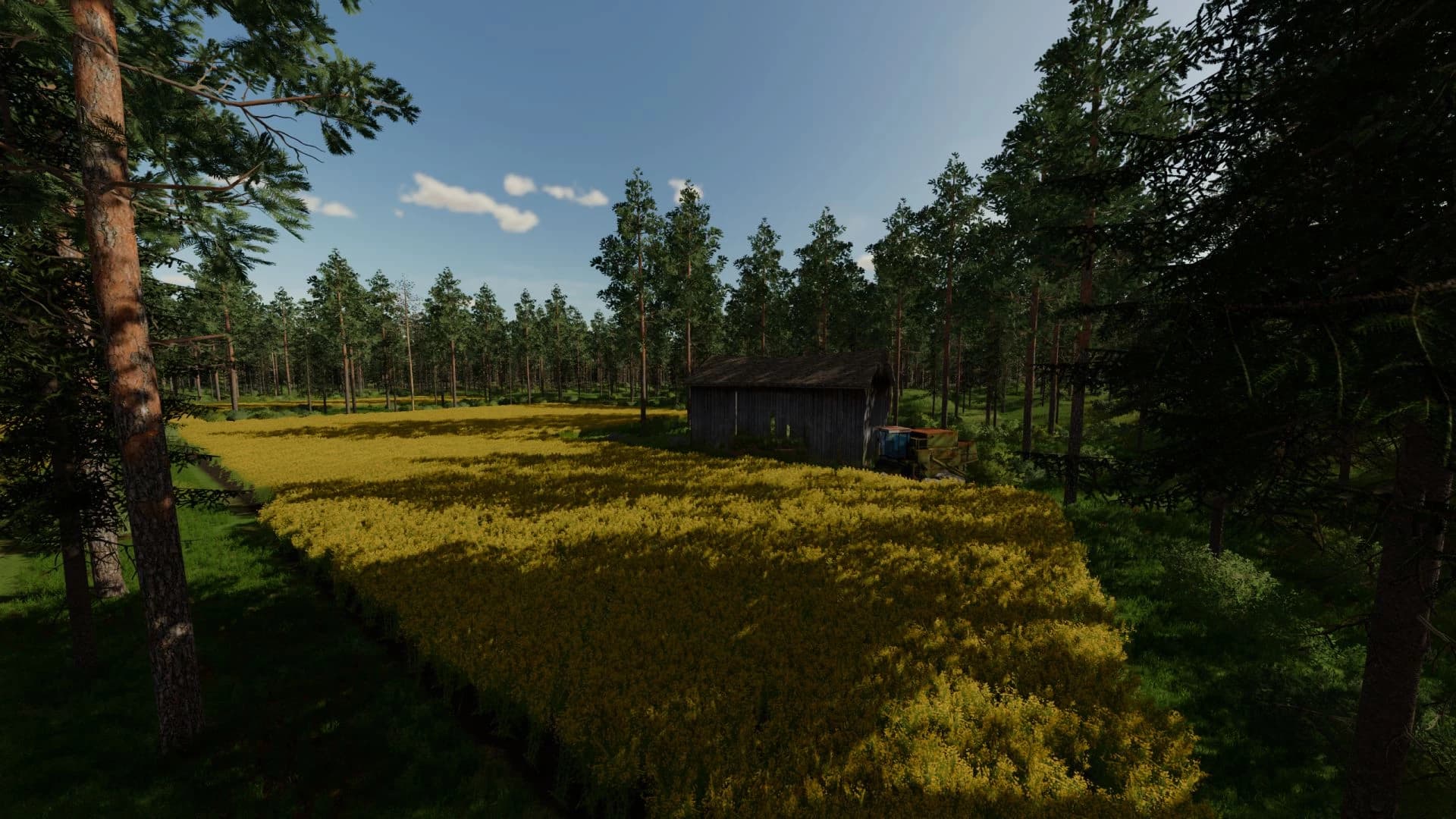 Pohjaforest Map 3