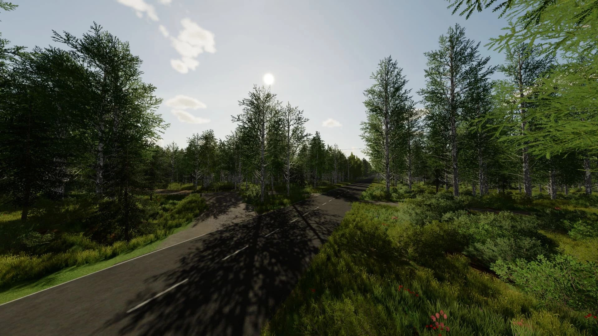 Pohjaforest Map 2