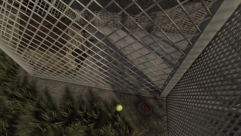 Polish Dog House 2