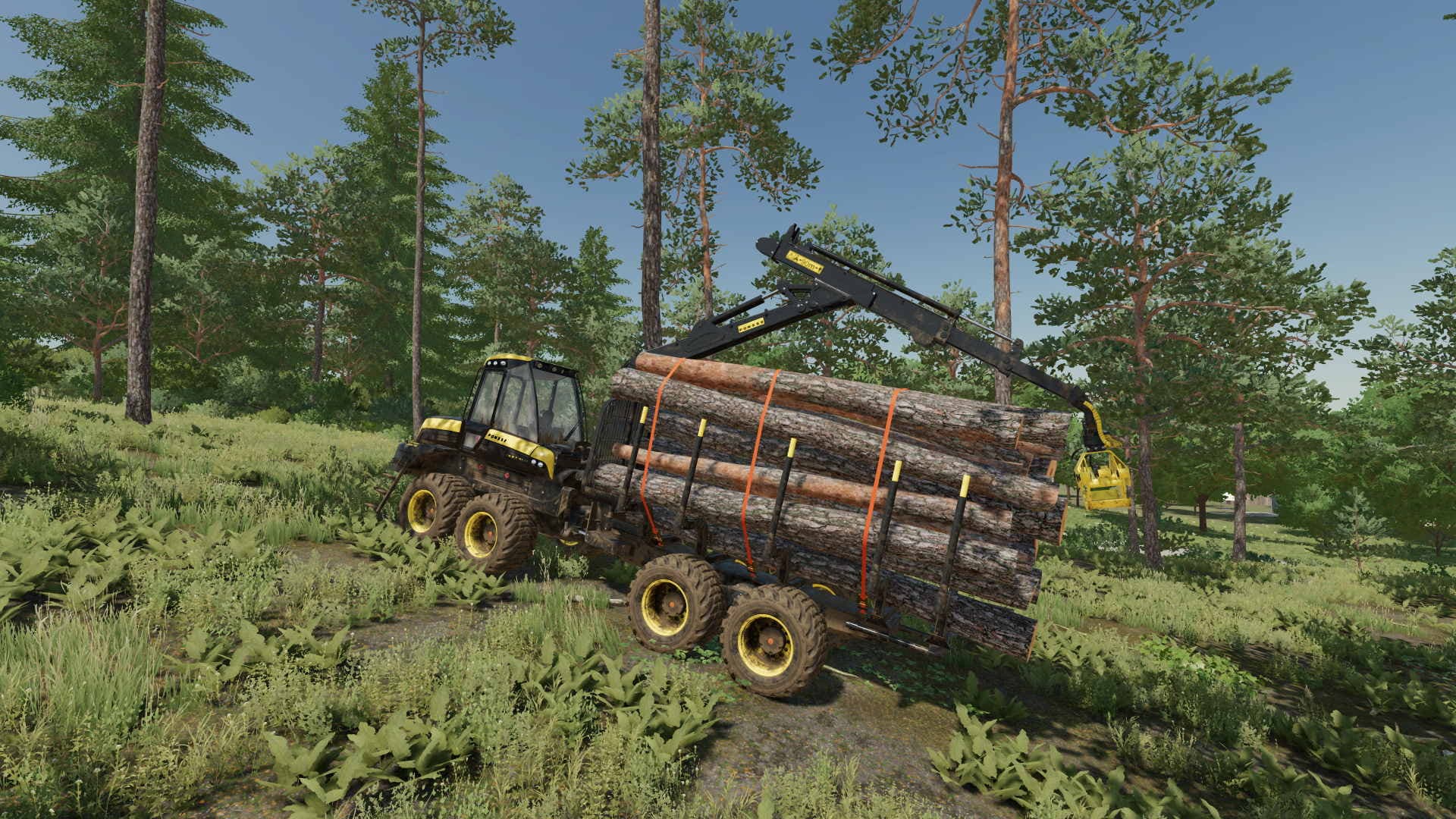 Ponsse buffalo autoload wood 2