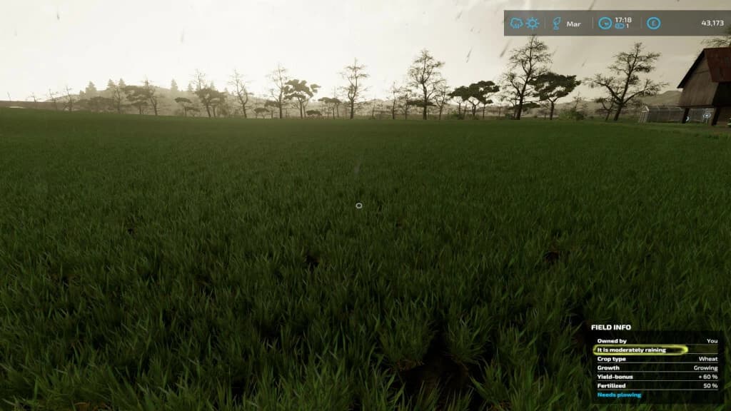 RAIN PAIN 4