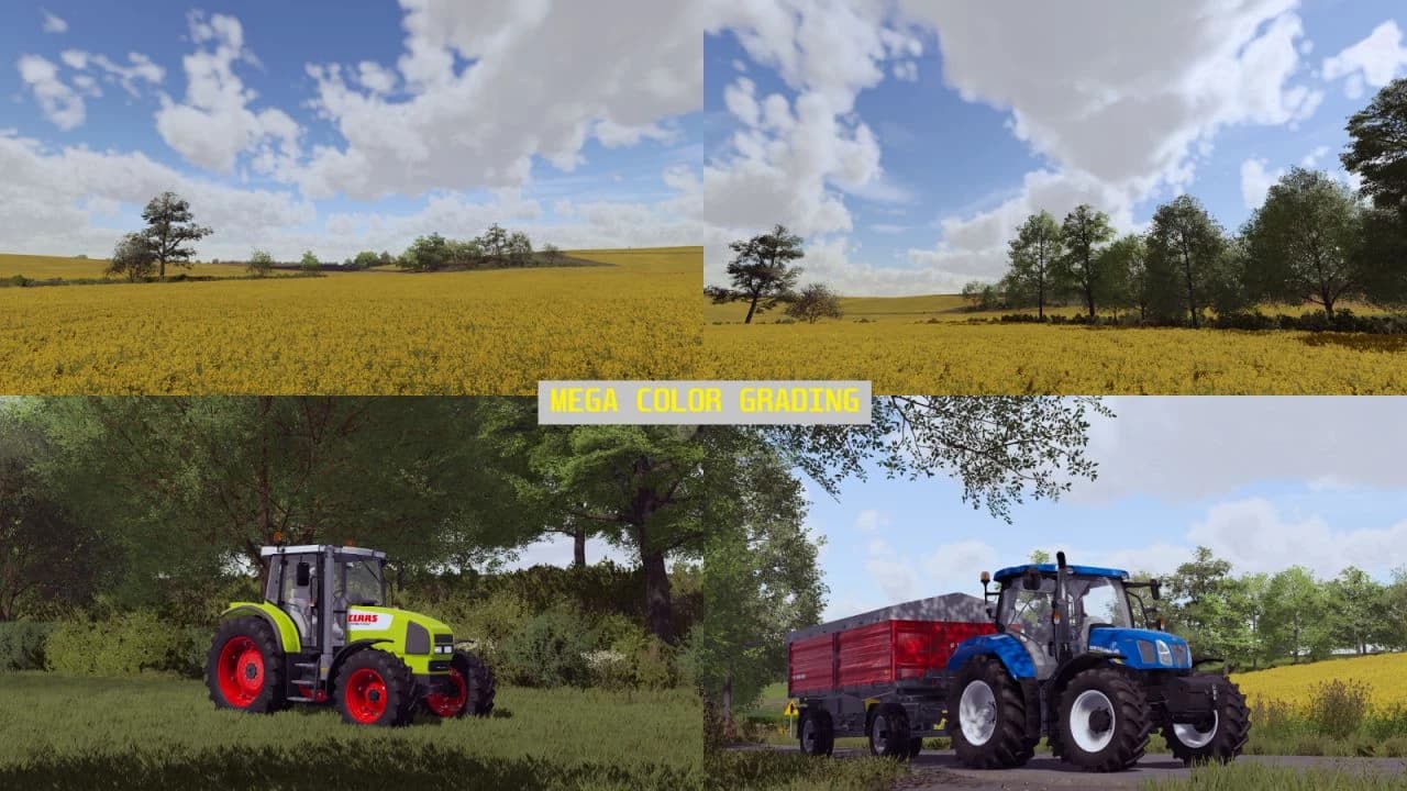 REAL COLOR GRADING 2 4