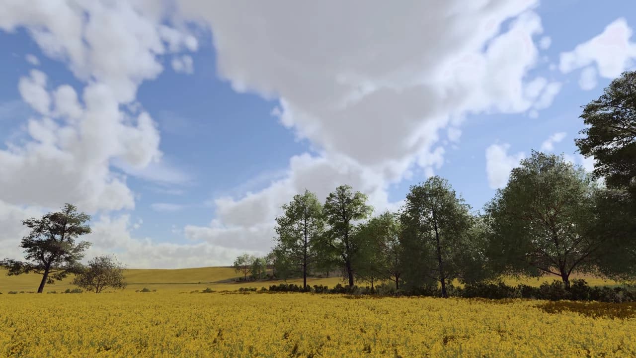 REAL COLOR GRADING 2 2