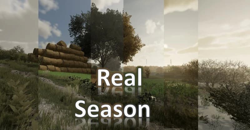 REAL SEASON 5