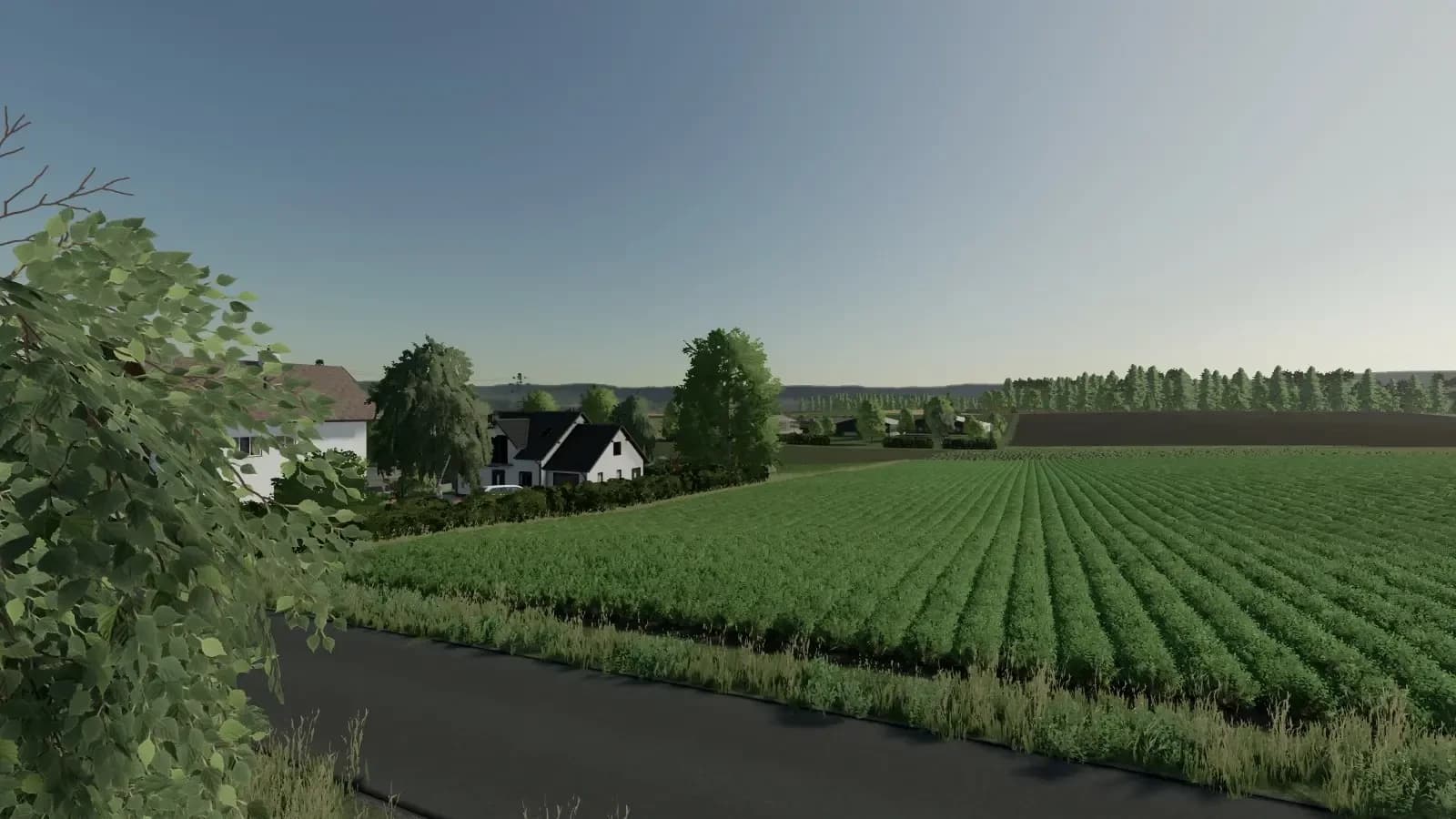 REGION SELIGWEILER 3