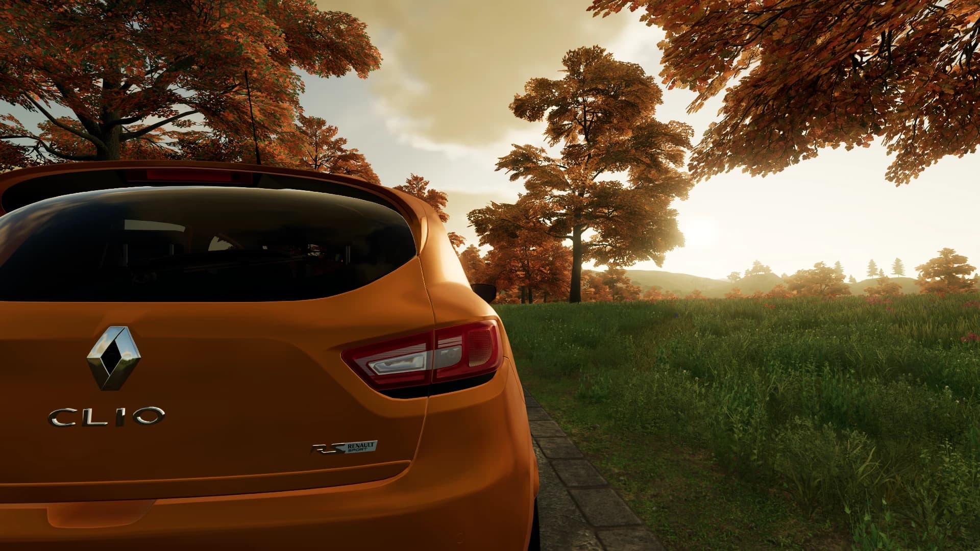 RENAULT CLIO RS 2013 2