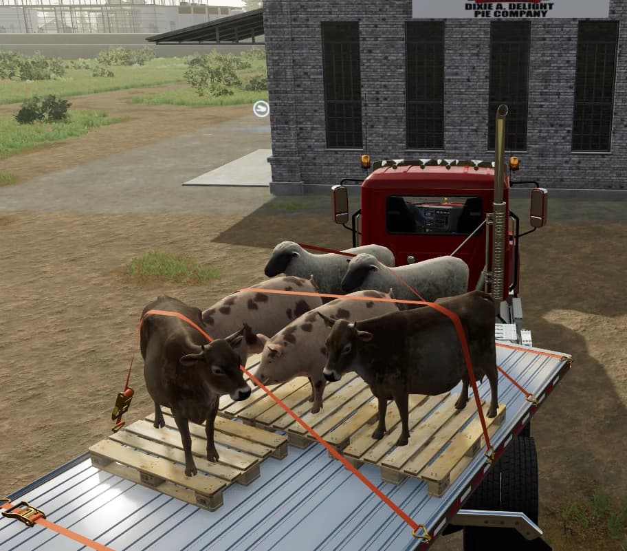 RICCI SLAUGHTERHOUSE 2