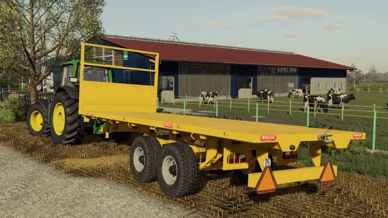 RIGUAL PLT600 PLATFORM 2