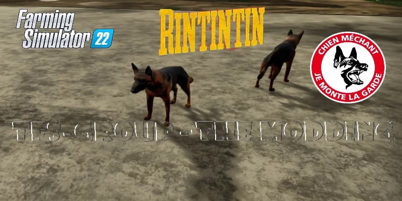 RINTINTIN