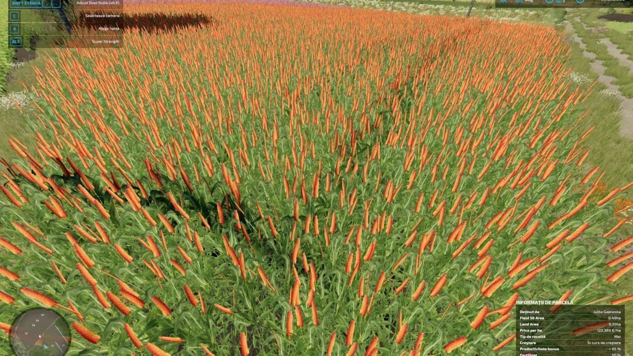 ROGATKI EDIT (MULTIFRUIT AND PRODUCTION)