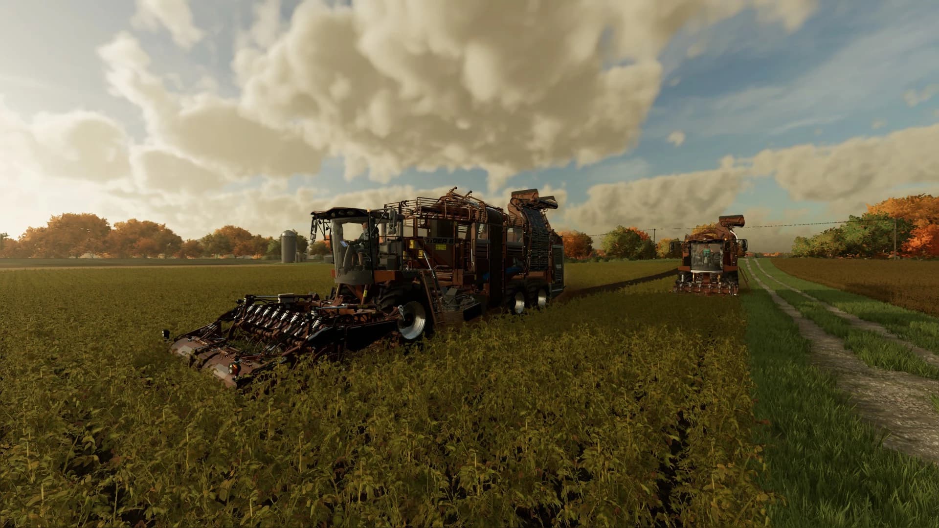 ROOT CROPS PLUS 2