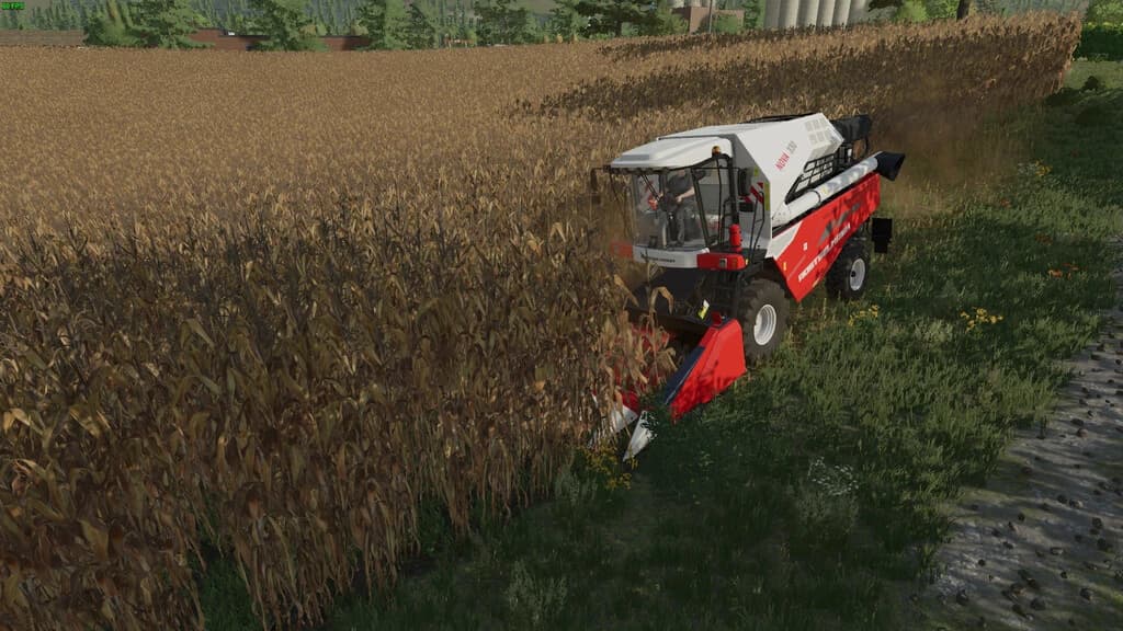 ROSTSELMASH CORN CHAMPION 5R 3