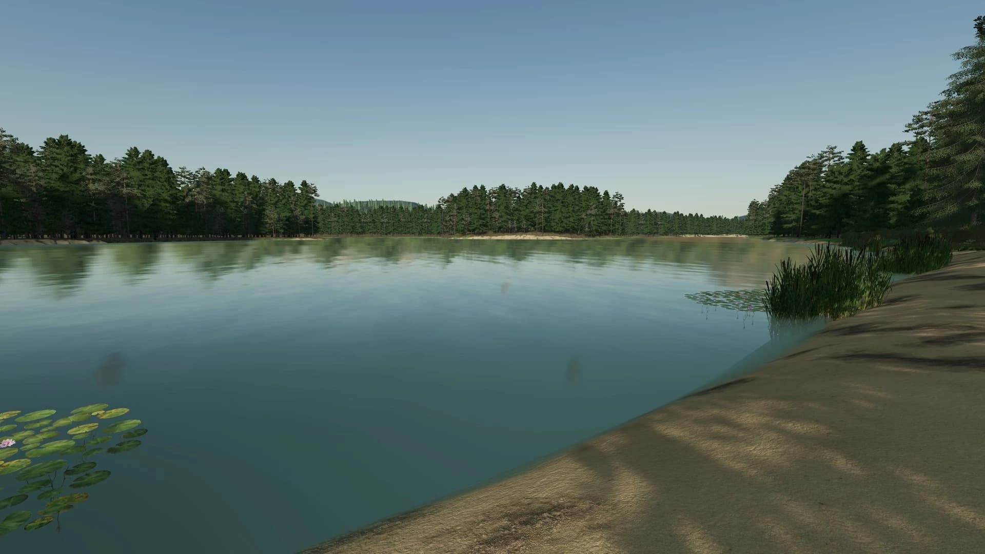 RUSSIAN TAIGA 4